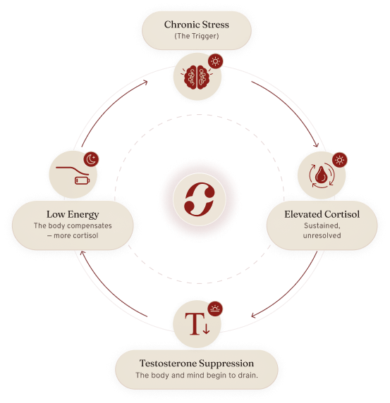 Diagram image